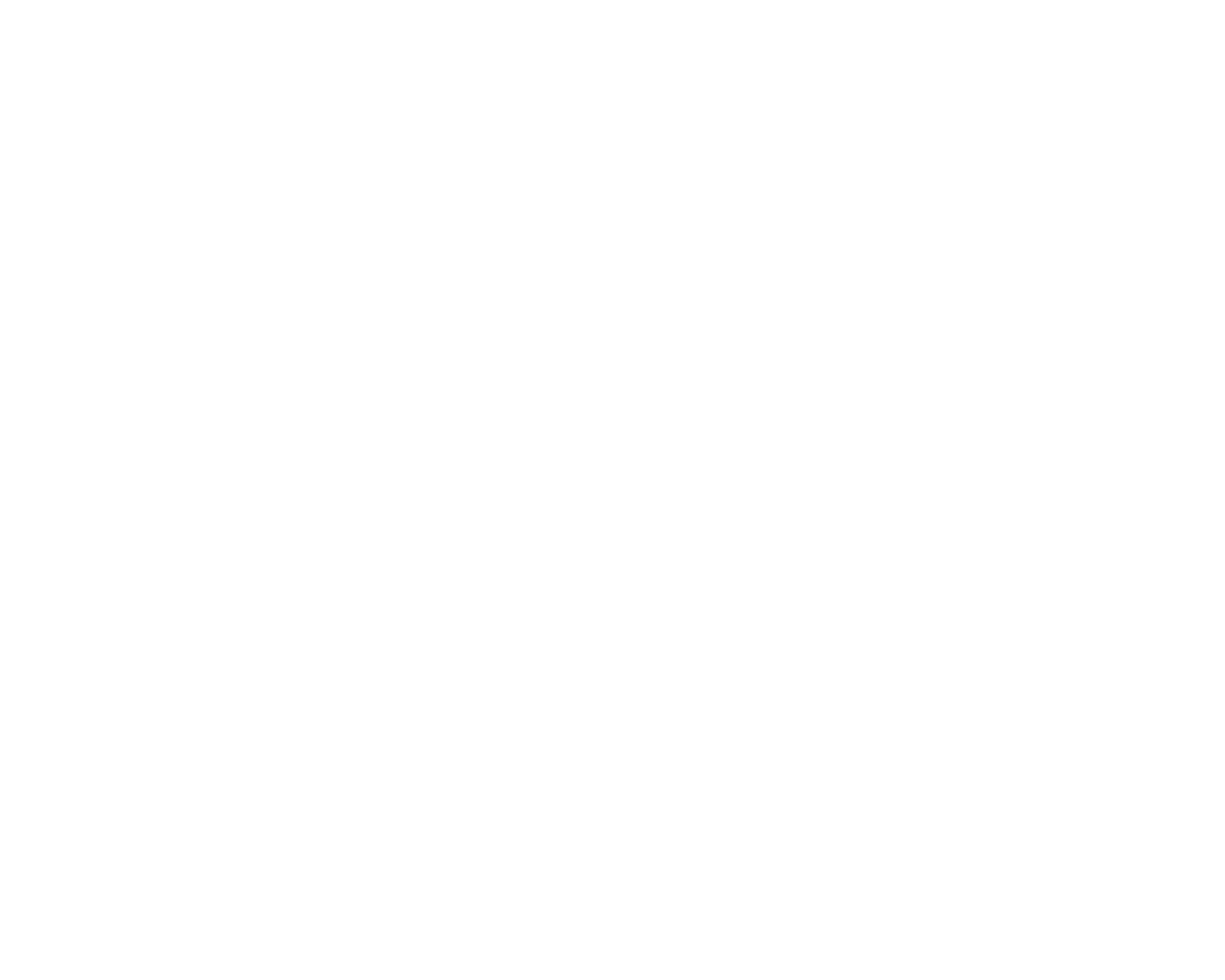 女性用風俗帝広島店