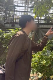 隼弥