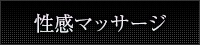 女性用風俗 帝  プラスデートコース