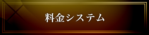 女性用風俗 帝 料金システム