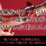 女性用風俗のソフトSMとは？痛いのは嫌だけど、、SM入門におススメ