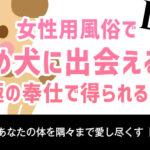 女性用風俗で舐め犬に出会える?究極の奉仕で得られる満足感
