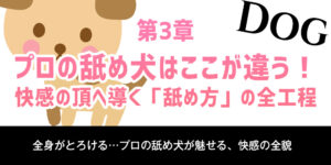 第3章：プロの舐め犬はここが違う！快感の頂へ導く「舐め方」の全工程