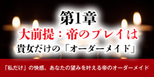 第1章：大前提：帝のプレイは、あなただけの「オーダーメイド」