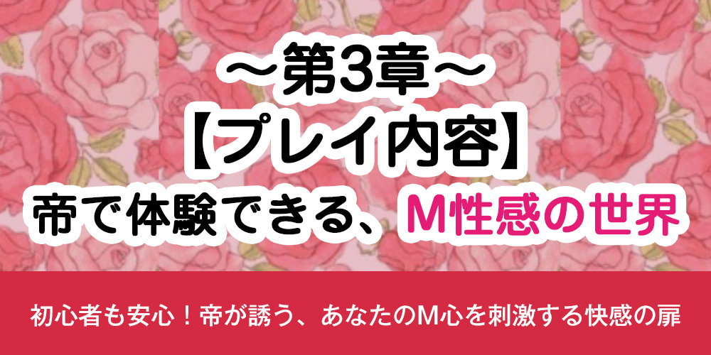 第3章：【プレイ内容】帝で体験できる、M性感の世界