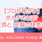 ポルチオとは?【プロが解説】その正体と、究極の快感の秘密