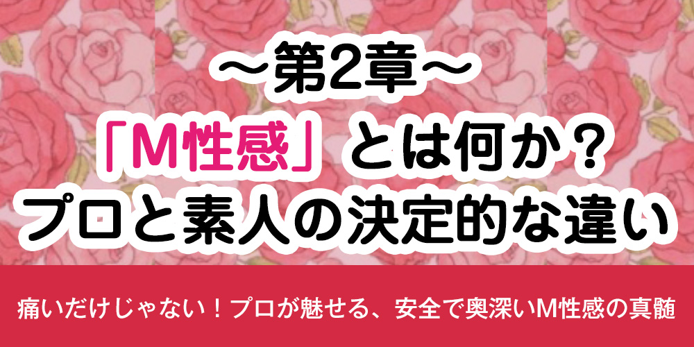 第2章：「M性感」とは何か？プロと素人の決定的な違い