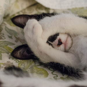 「Gスポットで限界と思っていた…」体験者が抱えていた悩み