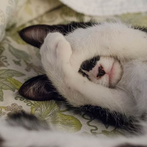 「Gスポットで限界と思っていた…」体験者が抱えていた悩み