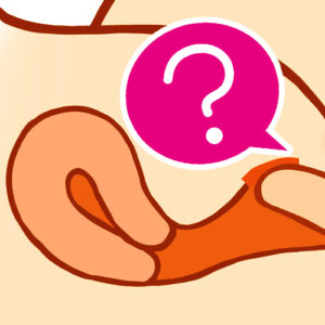 ポルチオの場所と特徴