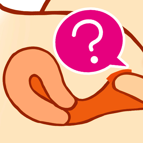 ポルチオの場所と特徴