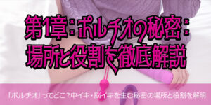 第1章：ポルチオの秘密：場所と役割を徹底解説