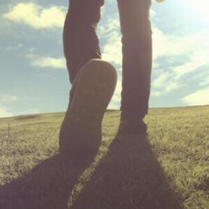 ただし、本物のプロは一握り。だからこそ…