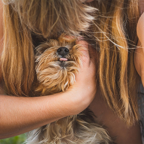 2-3. 舐め犬の舌は、あなたとのコミュニケーションツール