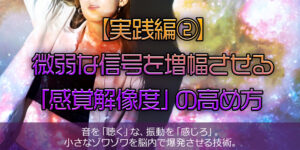 【実践編②】微弱な信号を増幅させる「感覚解像度」の高め方