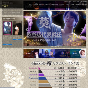 女性用風俗 帝 渋谷店